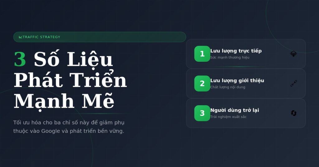 article5 featured