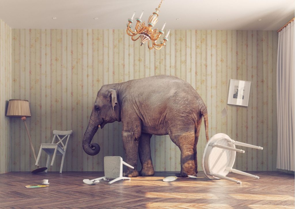 SEO bằng traffic user? Bí mật xếp hạng mà Google che dấu Elephant in the room