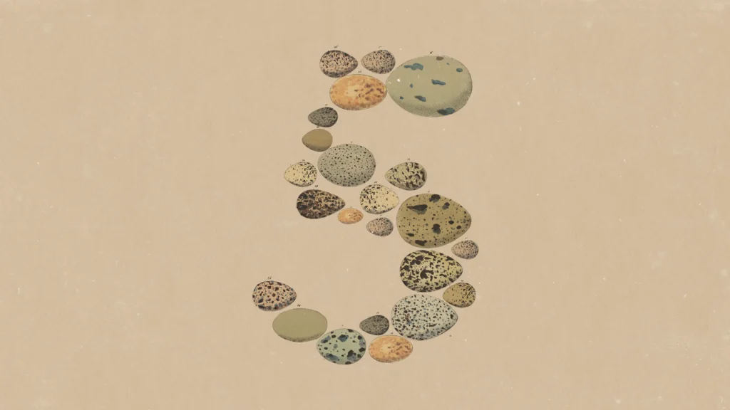 Claude Opus 5: đánh giá chi tiết Flagship mới của Anthropic Claude Opus 5